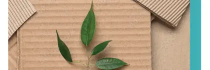 Identificación de Envases y Embalajes