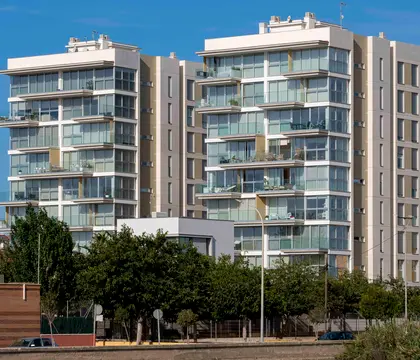 FORA FORAT_Golden gypsum