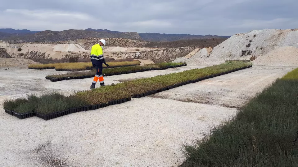 Restauración yesares Sorbas